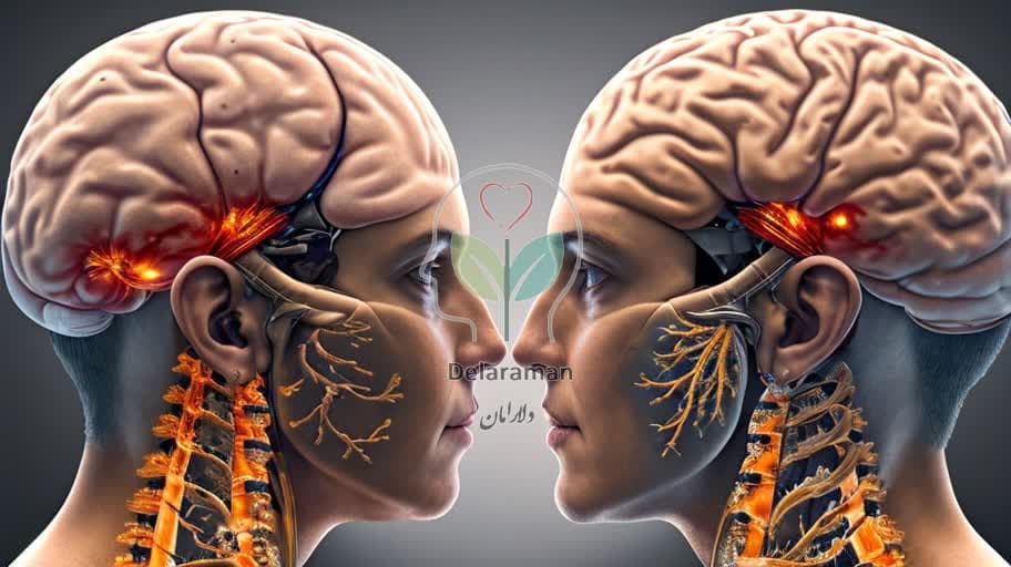 اختلال متابولیک آلزایمر در مغز زنان بدتر است: کشف تفاوتهای جنسیتی کلیدی در پیشرفت بیماری و پیامدهای درمانی