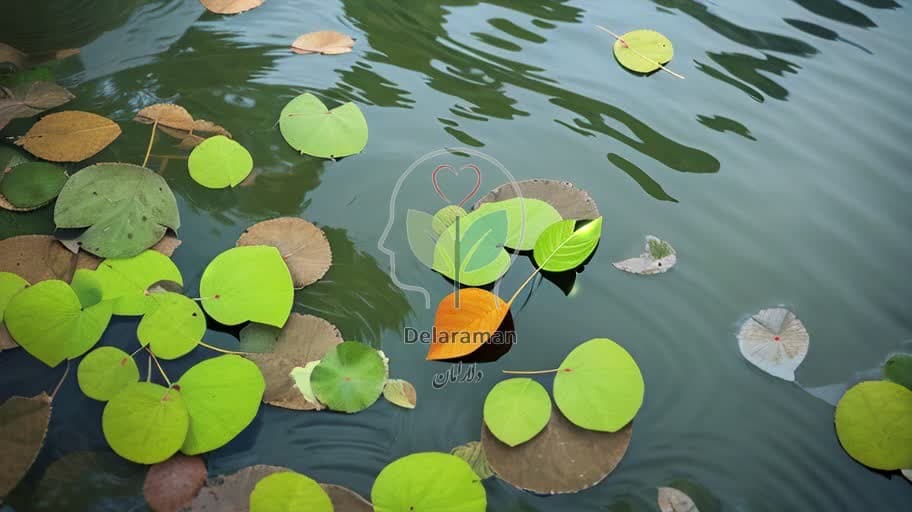 اضطراب، همراهی قابل مدیریت: تکنیکهای ذهنآگاهی