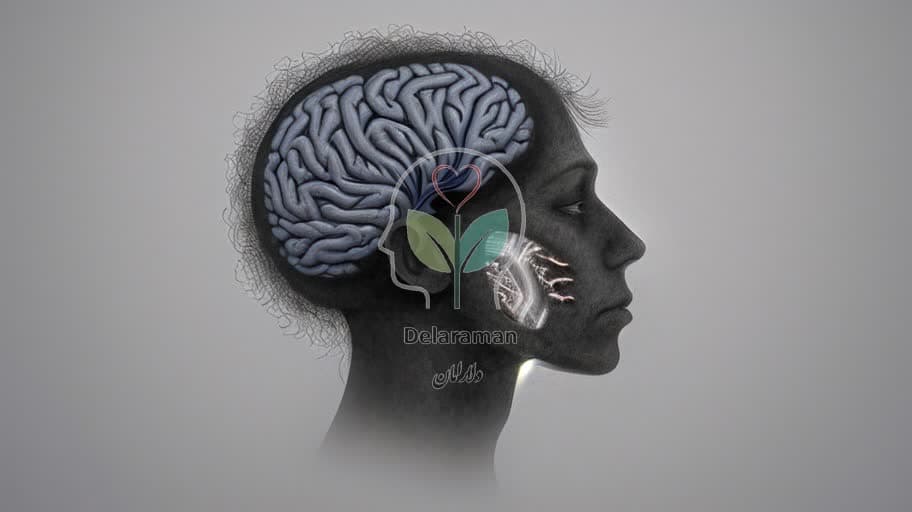 پدیده 'مه مغزی' در یائسگی: تغییرات ساختاری مغز که واقعاً چه اتفاقی میافتد و چرا حافظه شما افت میکند؟