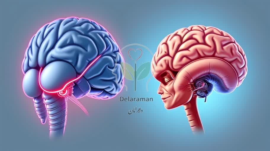 چرا همیشه گرسنهایم؟ کشف اختلال مغزی که سیگنال سیری را نادیده میگیرد