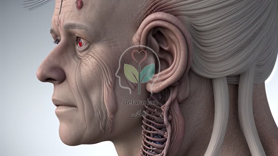 کشف دلیل اصلی: چرا آلزایمر ابتدا به مرکز حافظه مغز (هیپوکامپ) حمله میکند؟