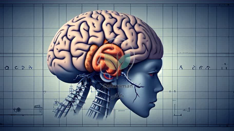 PTSD و مغز شما: چه تغییرات ساختاری در هیپوکمپ رخ میدهد؟ (علم به زبان ساده)